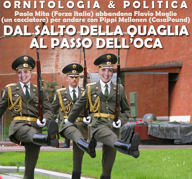 mitaquaglia