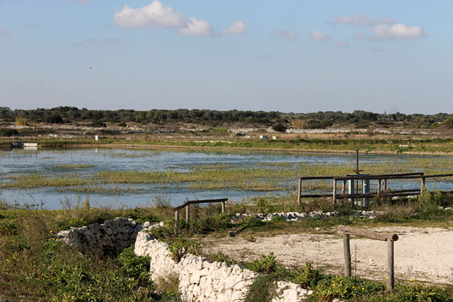 Depurazione Melendugno web5