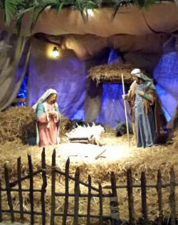 Presepe cattedrale scout1