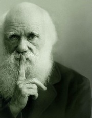 darwin