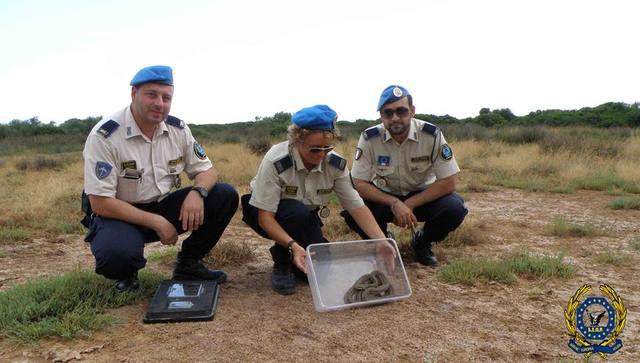 foto guardie a terra con serpente
