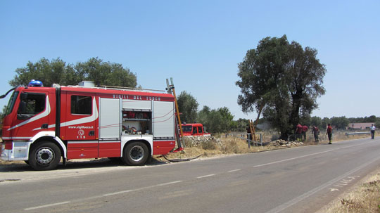 incendio olivo secolare 02