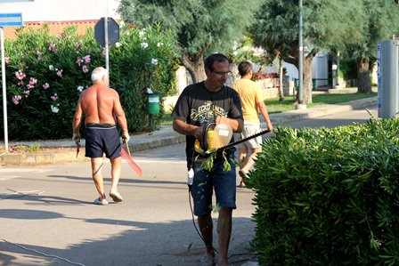 pulizia toor inserr 2