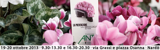 prevenzione ant ciclamini 19 ott 2013 web