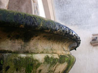 Guano fontana toro web1