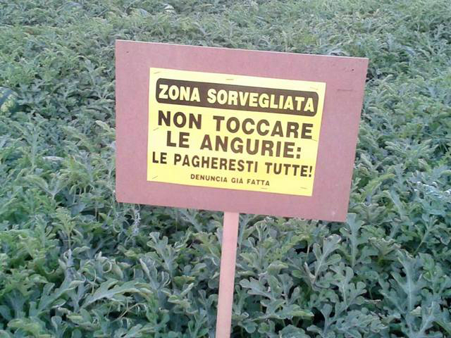 Zona sorvegliata angurie