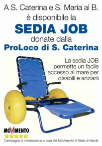 sedia job web