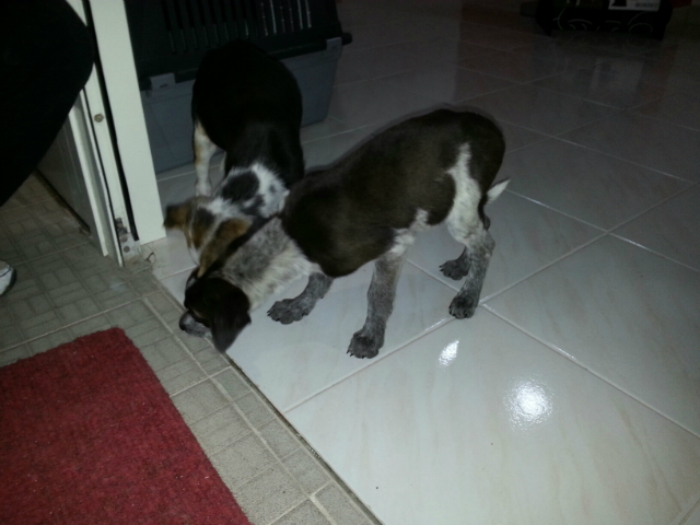 20131126 172055 resized