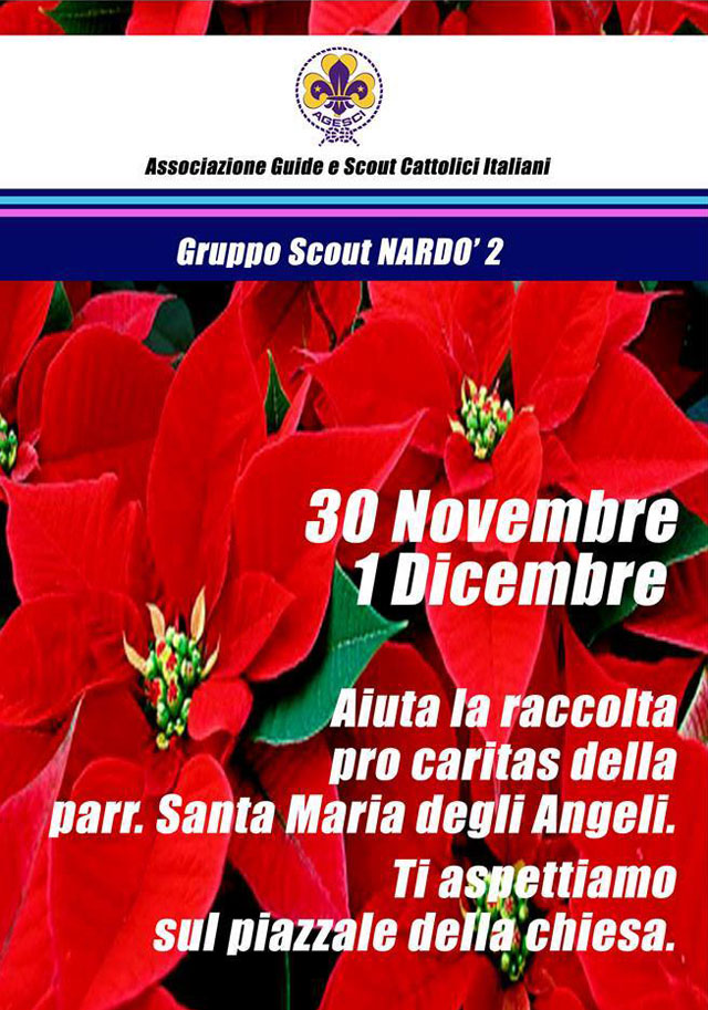 Stelle natale scout novembre web