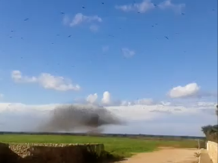 Stormo uccelli portoselvaggio