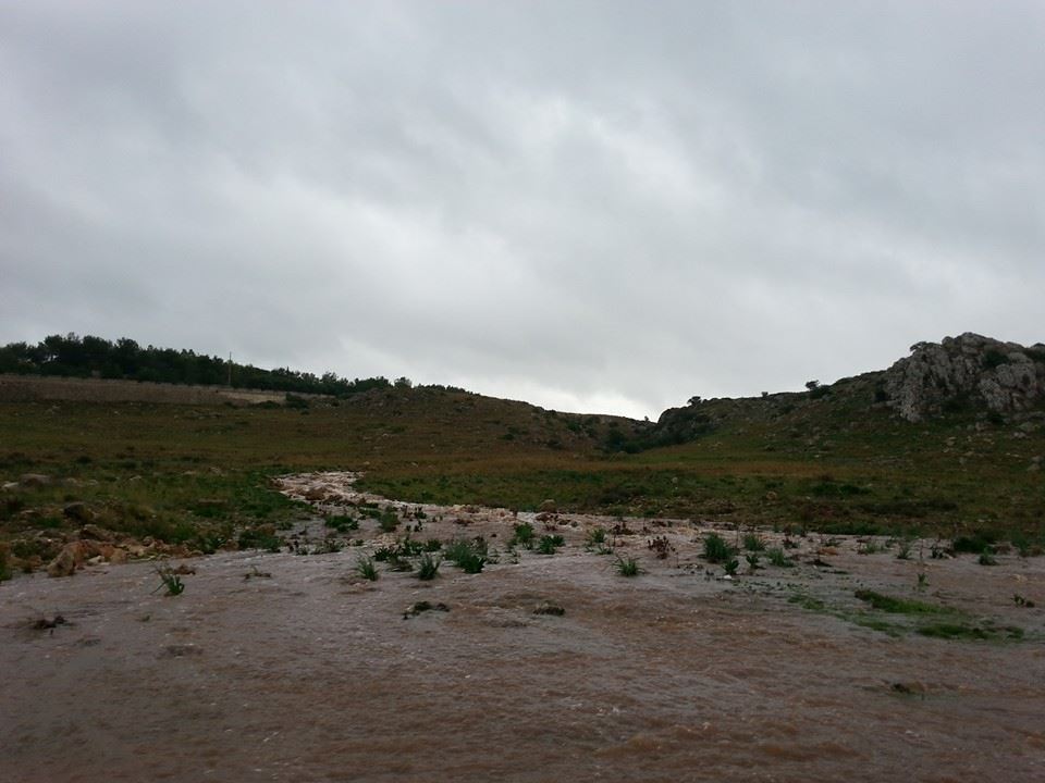 lama carsica serra cicora