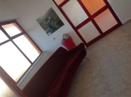 sede sosto toro copia