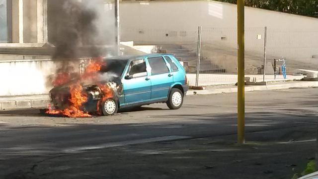 auto1 copia