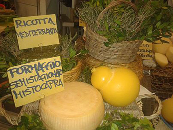 Bellimento raiuno 5feb2014