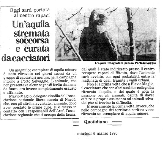 aquila097