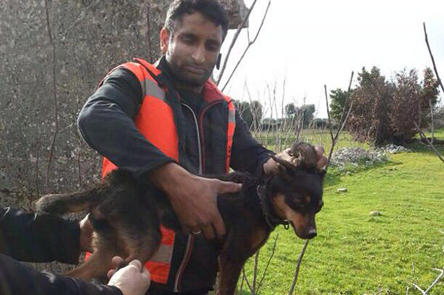 Cani Garzuto web3