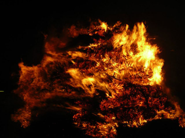 Focara sacro cuore 2014