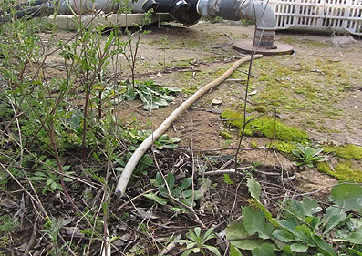 cavo elettrico rubato pdm