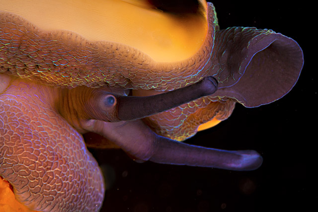 Premi Giuseppe Resta web2