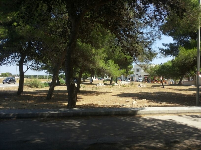 eden2