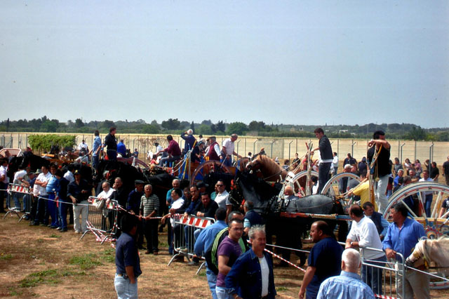 Fiera bestiame 2014pub web2