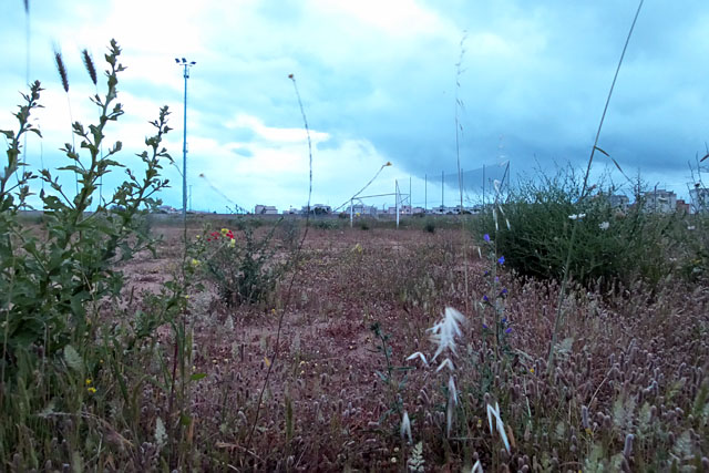 Polivalente degrado web1