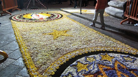 infiorata 1 copia