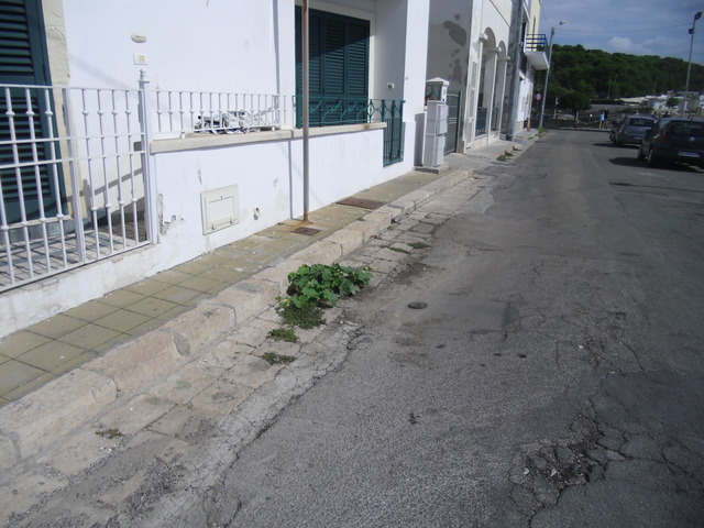 CIMG5433