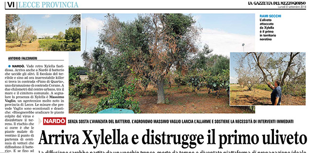 articolo xylella