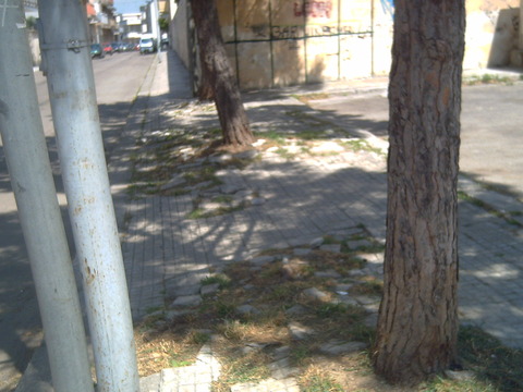 PICT0099