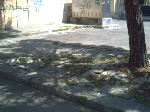 PICT0104