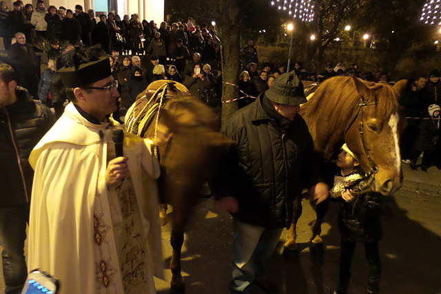 Re Magi cavallo2015 web5b