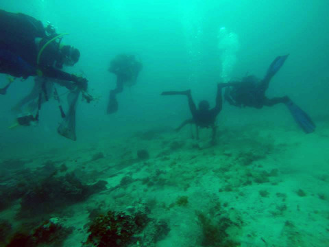 Mare pulito 2015web1