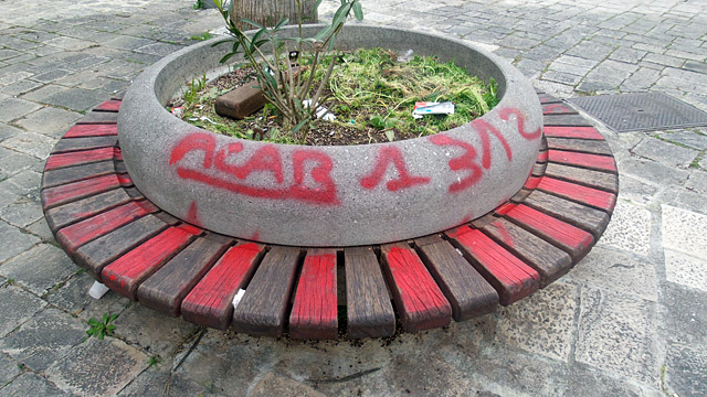 Sbabbari web4