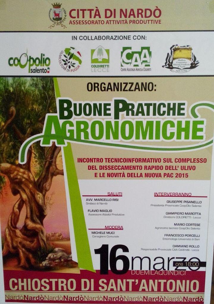 xylella convegno nardo copia