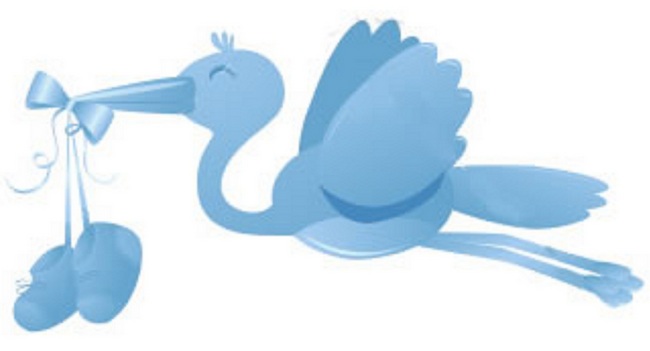 Fiocco Azzurro