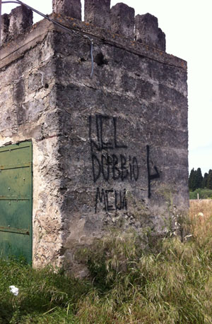 nel dubbio mena pdm