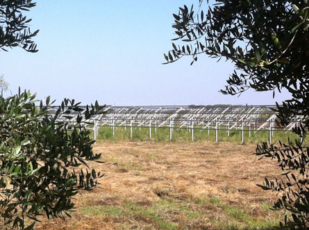 pannelli rubati pdm