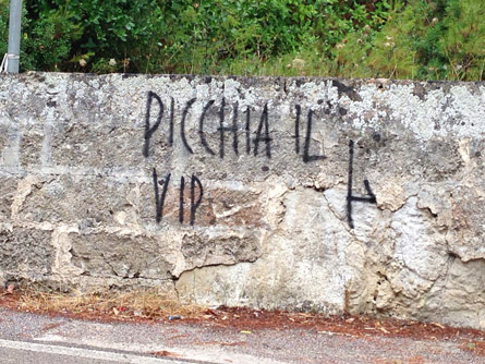 picchia il vip pdm