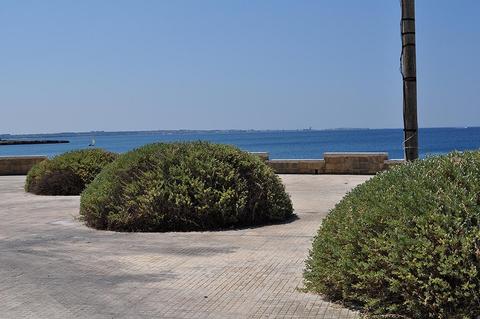porcellana1