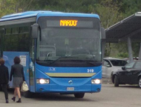 bus