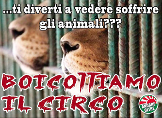 andare oltre circo pdm