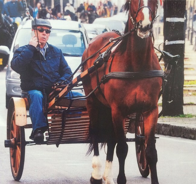 cesare bruno eb