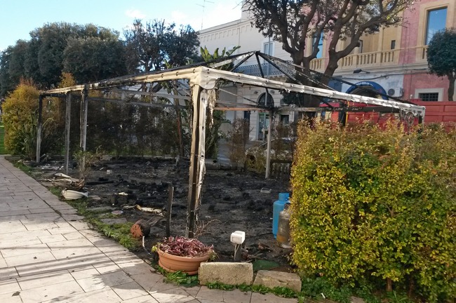 gazebo