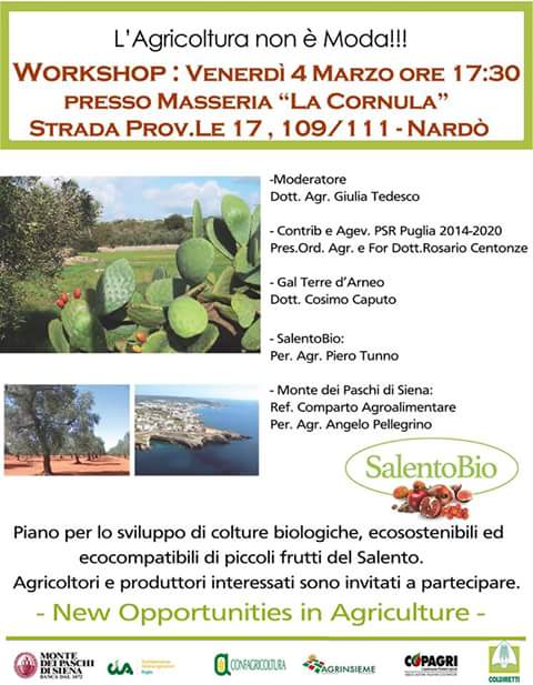 workshop psr cornula