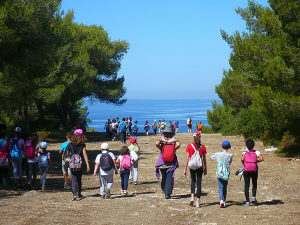 laboratori terrammare web