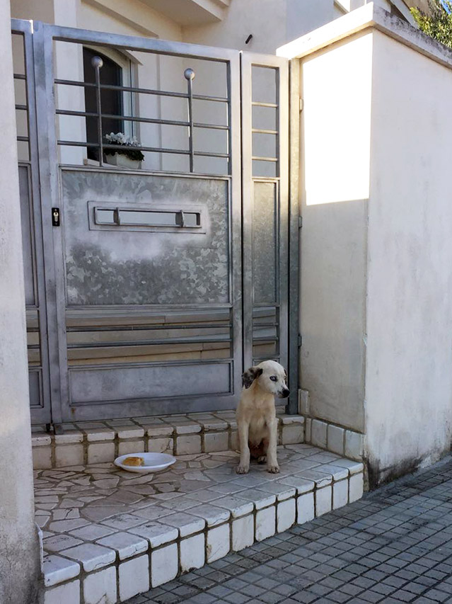 cane 2