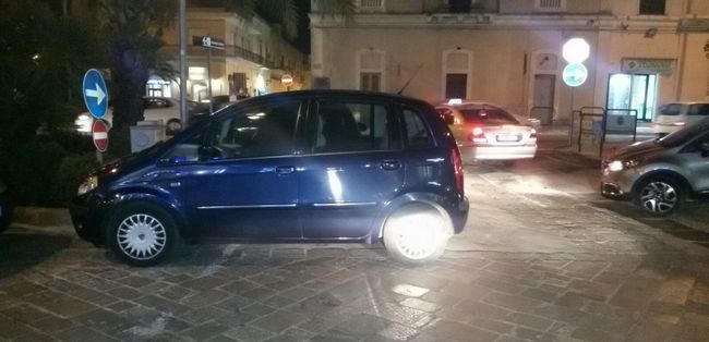 gabbiano