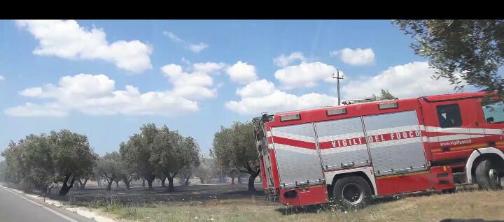 incendio101