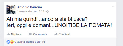 x fedele 03